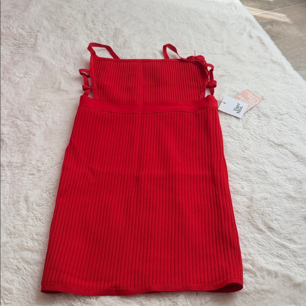 Tiger Mist Scarlet Ribbed Mini Dress